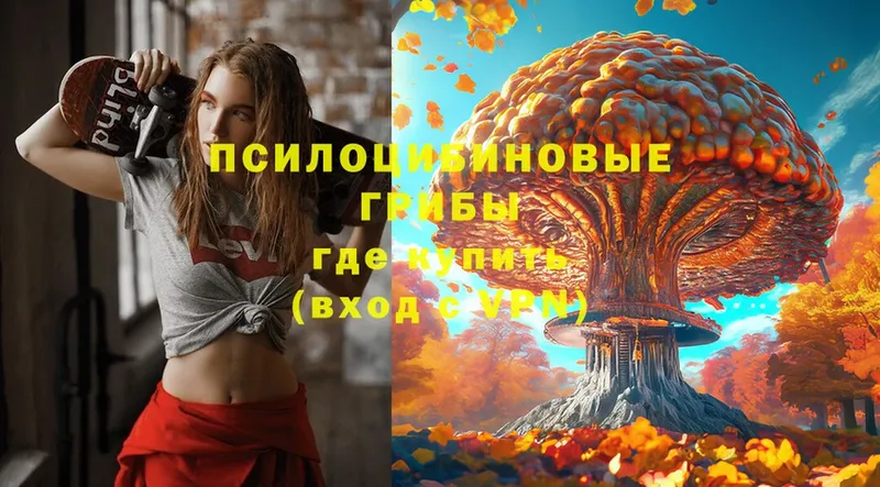 Псилоцибиновые грибы Psilocybe  Светлоград 